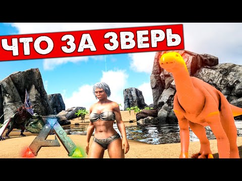 Видео: #3 ПРИРУЧЕНИЕ Модовой ЖИВКИ! Mod Phoenix  Выживание! ARK: Survival Evolved