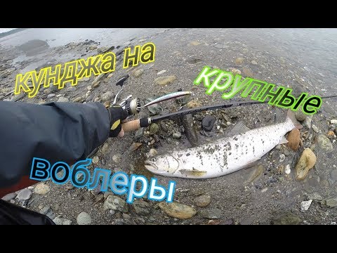 Видео: Ловля кунджи на крупные воблеры минноу! Major Craft Skyroad SKR-802L+