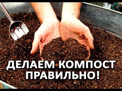 Видео: Важно! Делаем компост правильно! Поэтапное объяснение на практике!