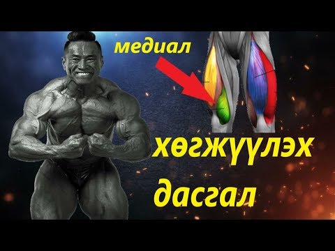Видео: Медиал буюу "нулимсан" булчинг яаж хөгжүүлэх вэ? - Дуугий ах