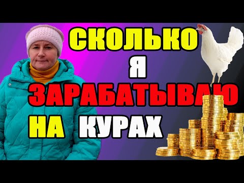 Видео: Сколько я зарабатываю на курах.