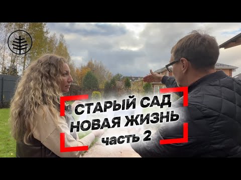 Видео: 🌲🌿СТАРЫЙ САД. НОВАЯ ДИЗНЬ!