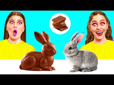 Видео: Челлендж. Шоколадная Еда vs Настоящая еда | Битвы с Едой от Fun Fun Challenge