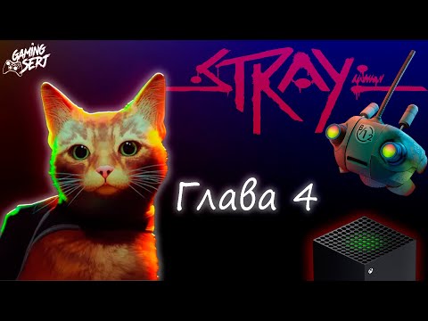 Видео: STRAY - Глава 4: Трущобы | Xbox Series X