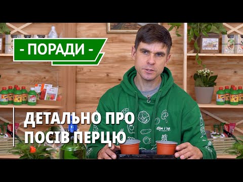 Видео: Перець гострий кімнатний. Посів у горщики для вирощування на підвіконні. Розсада з насіння