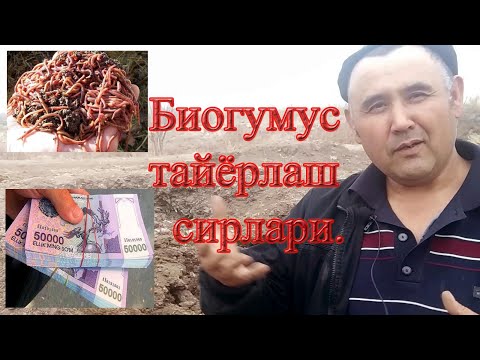 Видео: БИОГУМУС ТАЙЁРЛАШ СИРЛАРИ.БЎЙИЧА МАСТЕР КЛАСС ДАҲШАД ДАРС