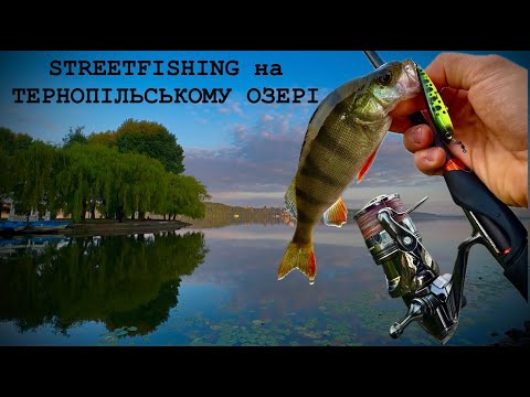 Видео: КЛЬОВ ОКУНЯ NON-STOP❗️❗️❗️РОЗДАЧА НА ВОЛКЕР Jackall Chubby Pencil 55mm