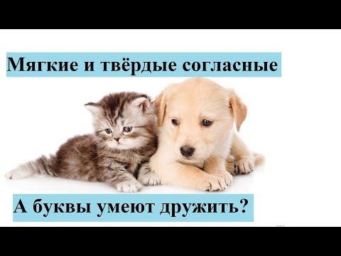 Видео: Мягкие и твёрдые согласные
