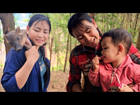Видео: Ту была так рада поймать в лесу свинью, что принесла ее домой, чтобы вырастить.