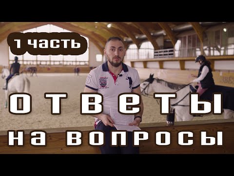 Видео: Ответы на вопросы. Страх верхом на лошади. Нервный конь. Конь без хлыста, но с посылами ленится.