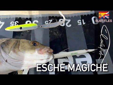 Видео: Особые приманки и смертельные поклевки для морского окуня