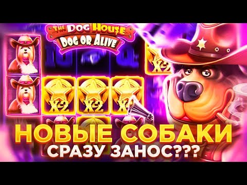 Видео: СЛОВИЛ 1250X В НОВОМ СЛОТЕ DOG HOUSE DOG OR ALIVE / СЛОВИЛ ДВА РЕТРИГЕРА И МЕГА ЗАНОС?