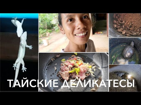 Видео: Тайская деревня. "Деликатесы" Исана. Лягухи, мыши, ящерицы, сверчки и другие вкусняшки.