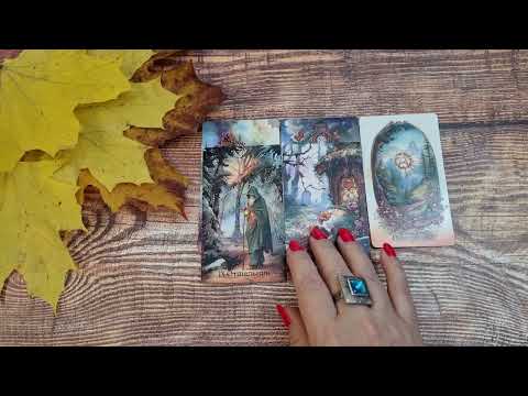 Видео: СОСТОИТСЯ ЛИ ВСТРЕЧА?