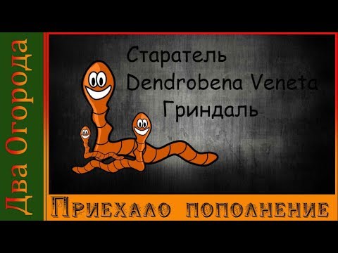 Видео: Пополнение в хозяйстве