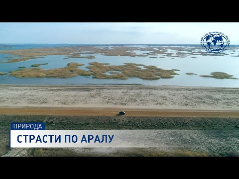 Видео: Страсти по Аралу | @rgo_films | Аральское море | Пустыня Аралкум