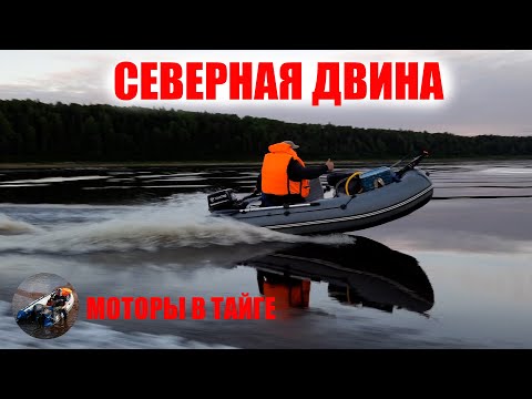 Видео: Вспоминая лето 2022 Рыбалка отдых и бобры на Северной Двине