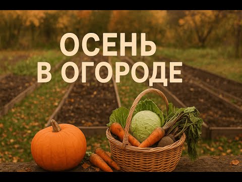 Видео: Что делать с огородом осенью?