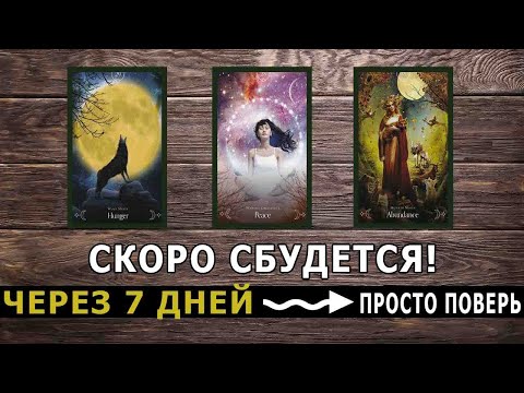 Видео: НЕДЕЛЯ ❗❗7 ДНЕЙ🔮ПРОГНОЗ НА НЕДЕЛЮ💯ТОЧНОЕ ПРЕДСКАЗАНИЕ ТАРО