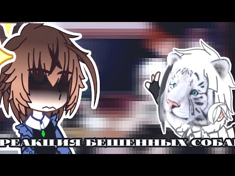 Видео: 💐 реакция б̶р̶о̶д̶я̶ч̶и̶х̶ п̶с̶о̶в̶ (бешенных псин) на тики токи 🦐