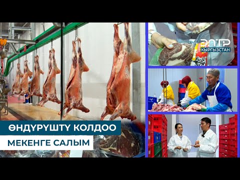 Видео: ӨНДҮРҮШТҮ КОЛДОО МЕКЕНГЕ САЛЫМ // БРЕНД KG