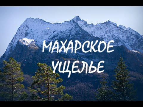 Видео: Махарское ущелье , Северный Кавказ , май .