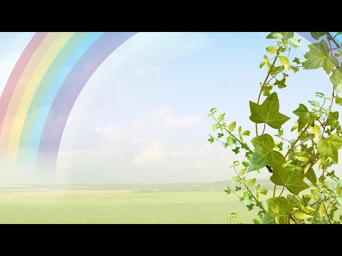 Видео: Шымкент ✓126"Шұғыла бөбекжай—бақшасы 2корпус  Шебер сынып "Заманауи дәстүрлі емес сурет салу әдісі"