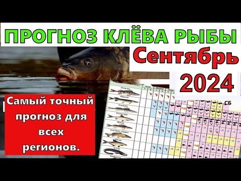 Видео: Лунный календарь клева рыбы на Сентябрь 2024 года Календарь клева рыбы на сентябрь Прогноз клева