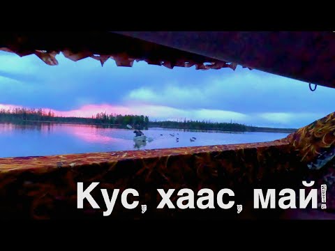 Видео: кус-кус-кус