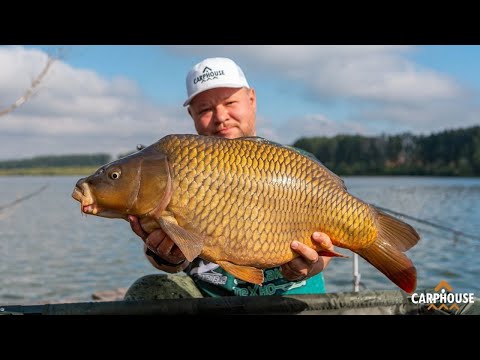 Видео: Турнир Кубок Улово 2024! РСК Павловский! Ловля карпа.