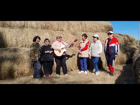 Видео: Тоҥ- Бас сайылыкка ырыа күнэ