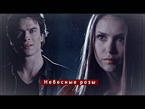 Видео: ▻Damon & Elena - Небесные розы