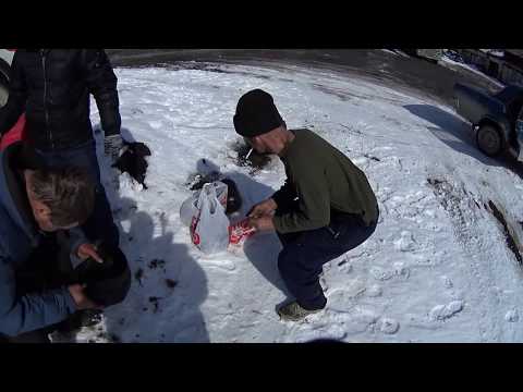 Видео: Один день среди бомжей/2 серия,стрижка Рыжего и Бульдога(18+)