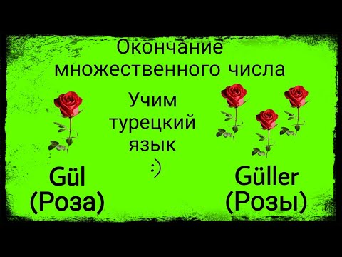 Видео: Урок 5.Множественное число.Учим новые турецкие слова по стихотворениям.