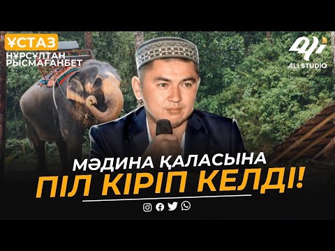 Видео: МәДина қаласына піл кіріп келді / ұстаз Нұрсұлтан Рысмағанбет