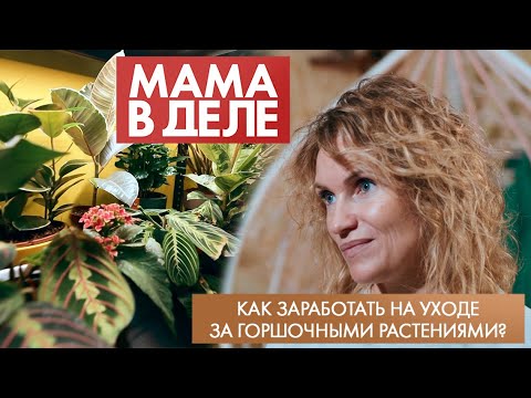 Видео: Как заработать на уходе за горшочными растениями? | Ольга Сафонова | Мама в деле (2025)