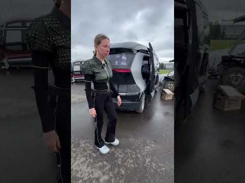 Видео: Памятники автопилоту? #shorts Лиса рулит