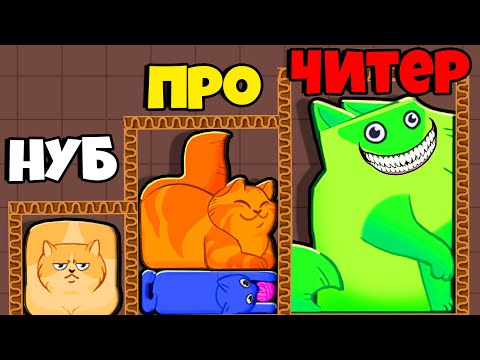Видео: ЭВОЛЮЦИЯ ПАЗЛА ИЗ КОТОВ, МАКСИМАЛЬНЫЙ УРОВЕНЬ! | Puzzle Cats