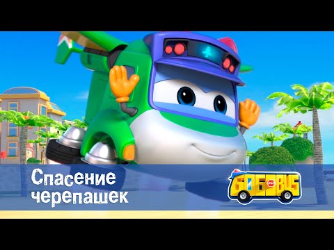 Видео: Школьный автобус🚌 Гордон. Сезон 2 - Серия 1. Спасение черепашек - Мультфильм