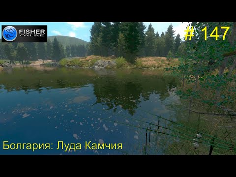 Видео: #147 Болгария:Луда Камчия. ч.12 Путь к серебру: отличное место для чехони. Прохождение Fisher Online