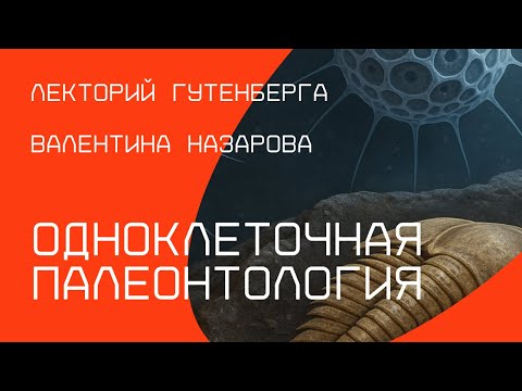 Видео: Одноклеточная палеонтология | Валентина Назарова