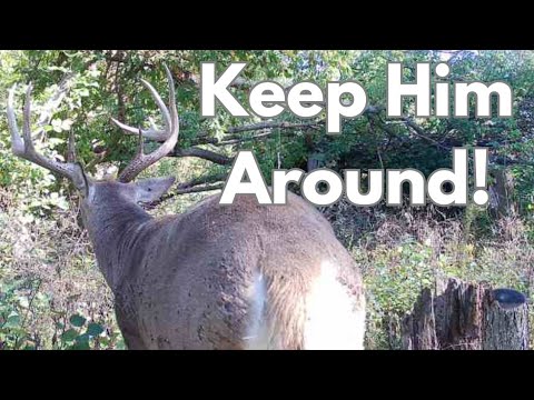 Видео: 5 причин, по которым ваше охотничье угодье этой осенью не принесет денег