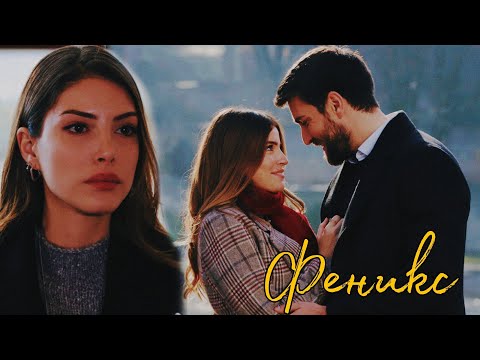Видео: serdar x zehra | феникс