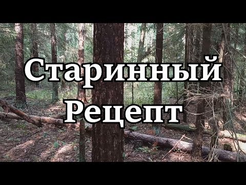 Видео: Простой способ засолки грибов