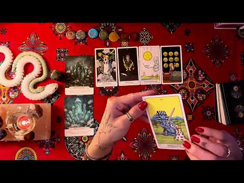 Видео: Хөзөр танд юу дамжуулахыг хүсэв 🍀 🕊️