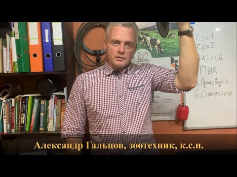 Видео: Кормление коров по фазам лактации. Обзор практика. Александр Гальцов