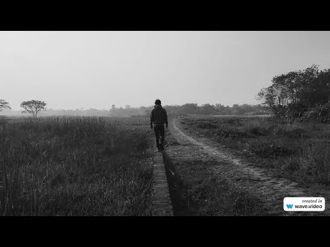 Видео: Фамилия Аржаной: история, происхождение и все, что нужно знать о склонении и значении