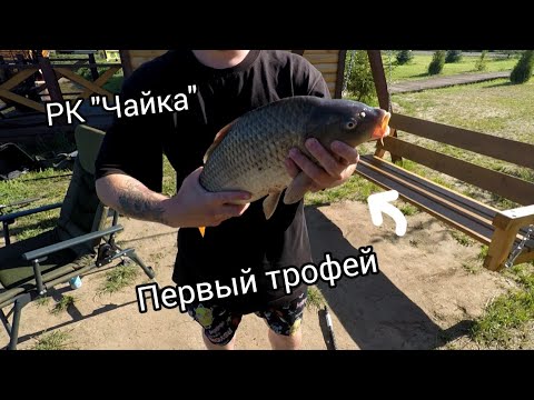 Видео: Рыболовный клуб "Чайка". Рыбалка на платнике. Ловля карпа. Семейных отдых.