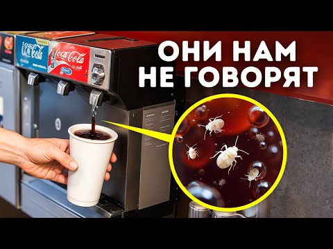 Видео: 100+ мелких фактов обо всем, которые сделают вас умнее