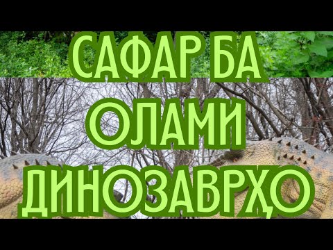 Видео: Мехоҳед ба олами Динозаврҳо биравед? Он хеле ҷолиб аст, бо мо бошед! #tajikistan #iran #afghanistan